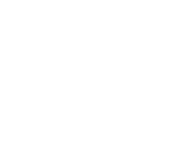Pen white