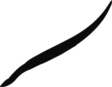 Pen